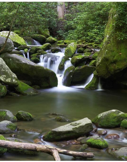 Peace By The Lake Sevierville Exterior foto